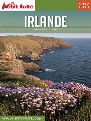 cover image of IRLANDE 2017 Petit Futé